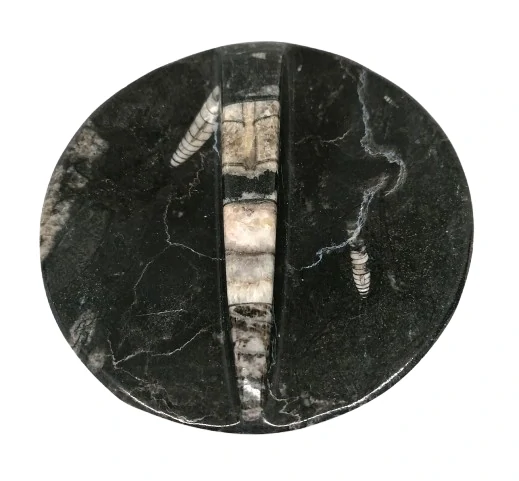 Orthoceras – miska z prehistorické fosilie pro očistu i feng shui