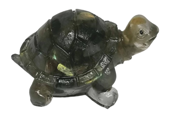 Želvička z pryskyřice plněná labradoritem 5 cm – symbol intuice, ochrany a magické proměny