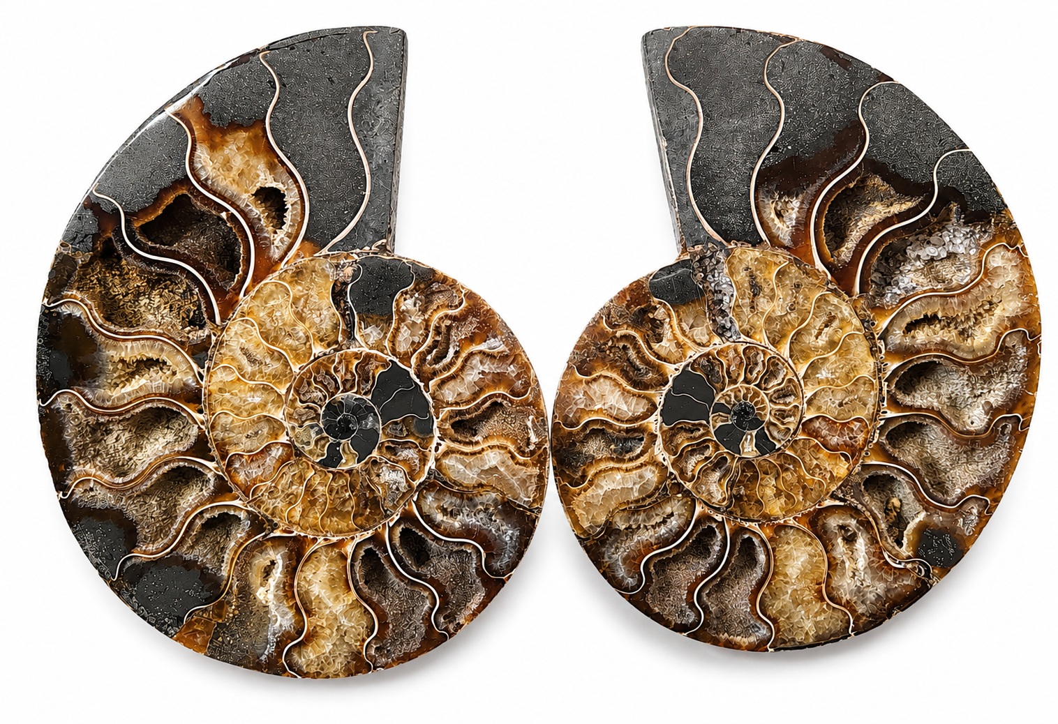 Amonit – velký pár 910 g | 16,5 × 12,5 × 2 cm | Madagaskar