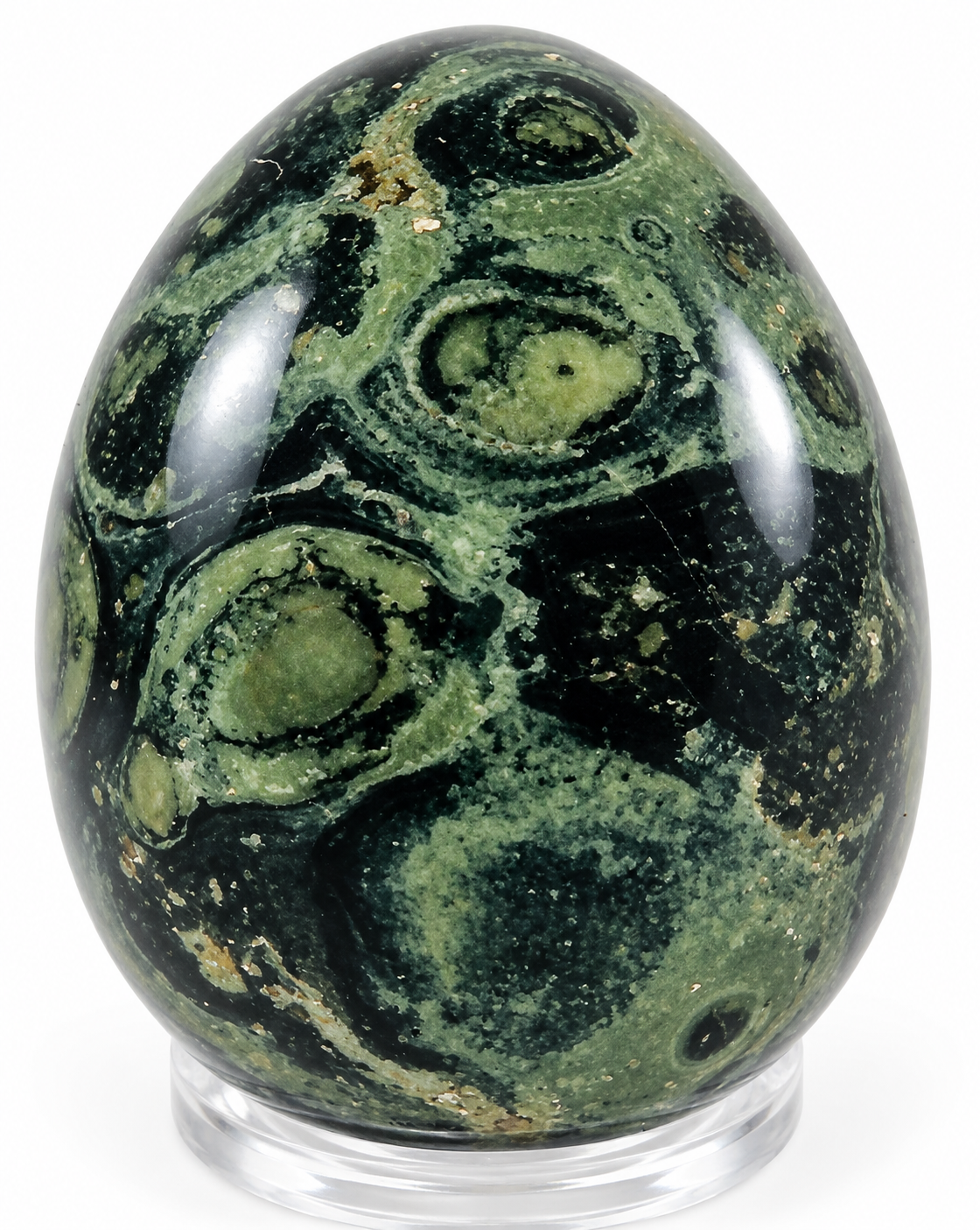 Kambaba – vajíčko cca 4,5 × 3,5 cm