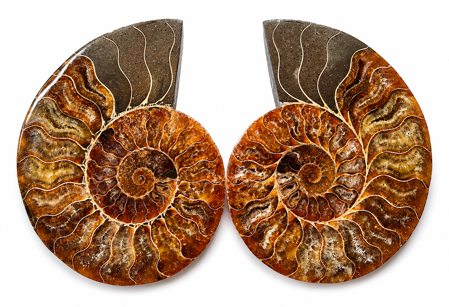 Amonit – velký pár 810 g | 15,5 × 12 × 1,6 cm | Madagaskar