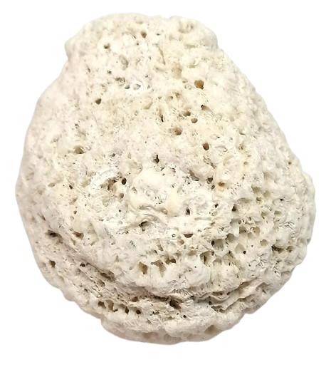 Přírodní korál z Mexika (Tulum) | surový dekorativní kus (20,6 g, 4 × 3 × 2,3 cm)