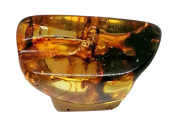 Jantar exkluzivní, 3,54 g