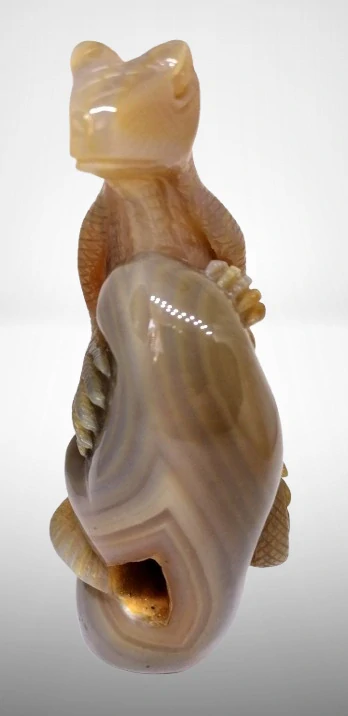 Achátový leguán v AA kvalitě, exkluzivní kus, 390 g