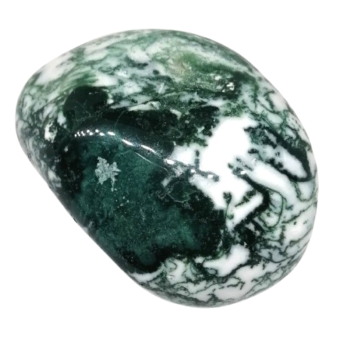 Achát stromový natur kus o váze 215 g