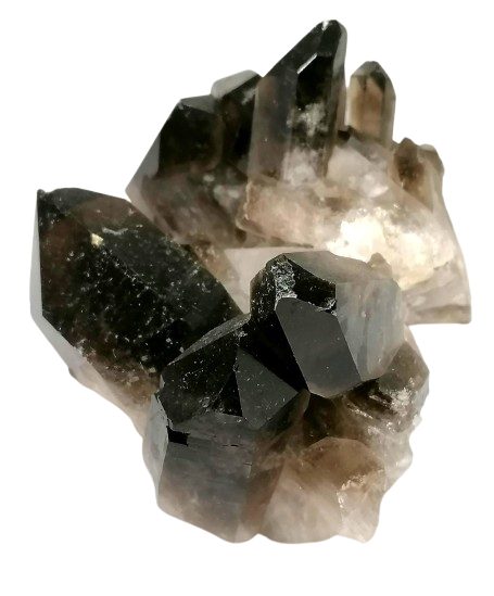 Záhněda drůza velká, AA kvalita 686 g