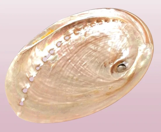 Vykuřovací miska na svazky - růžová Paua abalone