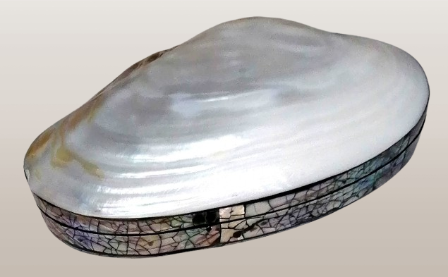 Luxusní dóza na šperky z perlorodky – originální design s esoterickou energií