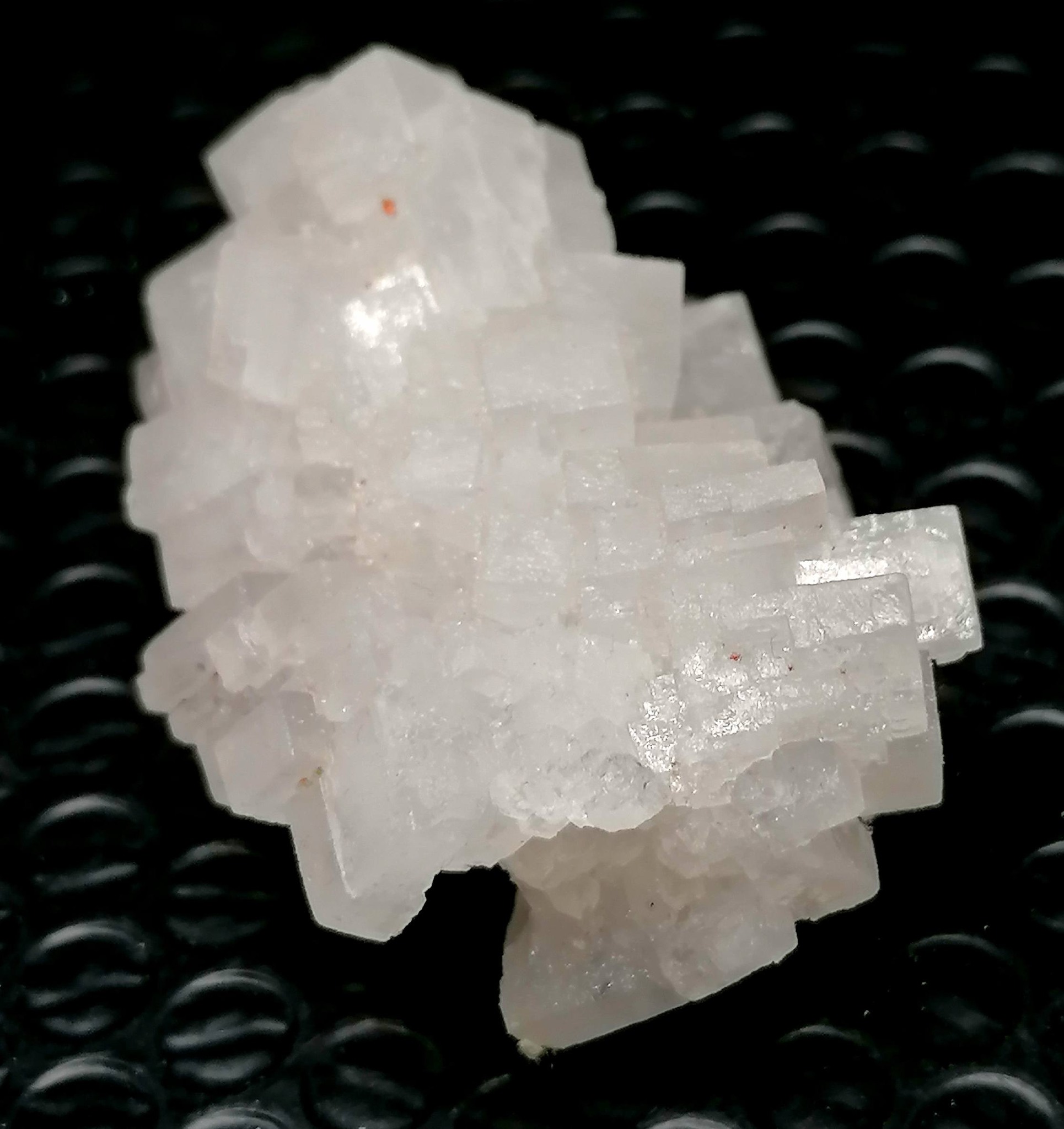 Halit – Kanada, Saskatchewan, Rocanville (P.C.S. Rocanville), 51 g