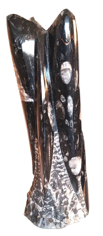 Orthoceras sloup - Maroko 1,34 kg