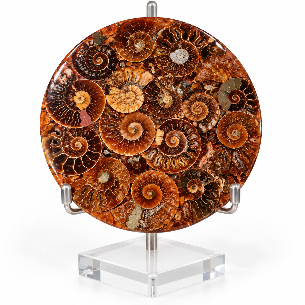 Amonitová destička – zkameněliny amonitů, 12 cm, 146 g