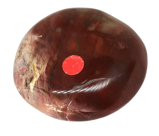 Zkamenělé dřevo 79 g – energetický kámen do dlaně pro meditaci a uzemnění