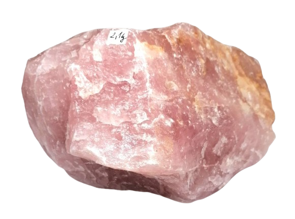 Růženín surový zajímavý kus 2,1 kg