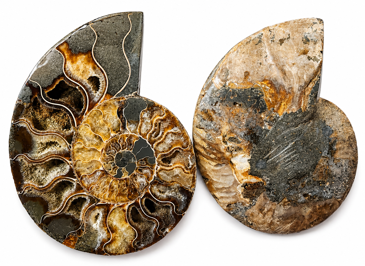 Amonit – velký pár 910 g | 16,5 × 12,5 × 2 cm | Madagaskar