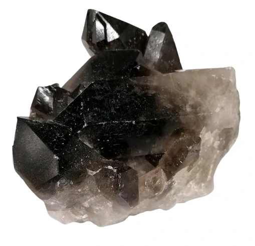 Zahnědová drůza velká, velké hroty, 940 g