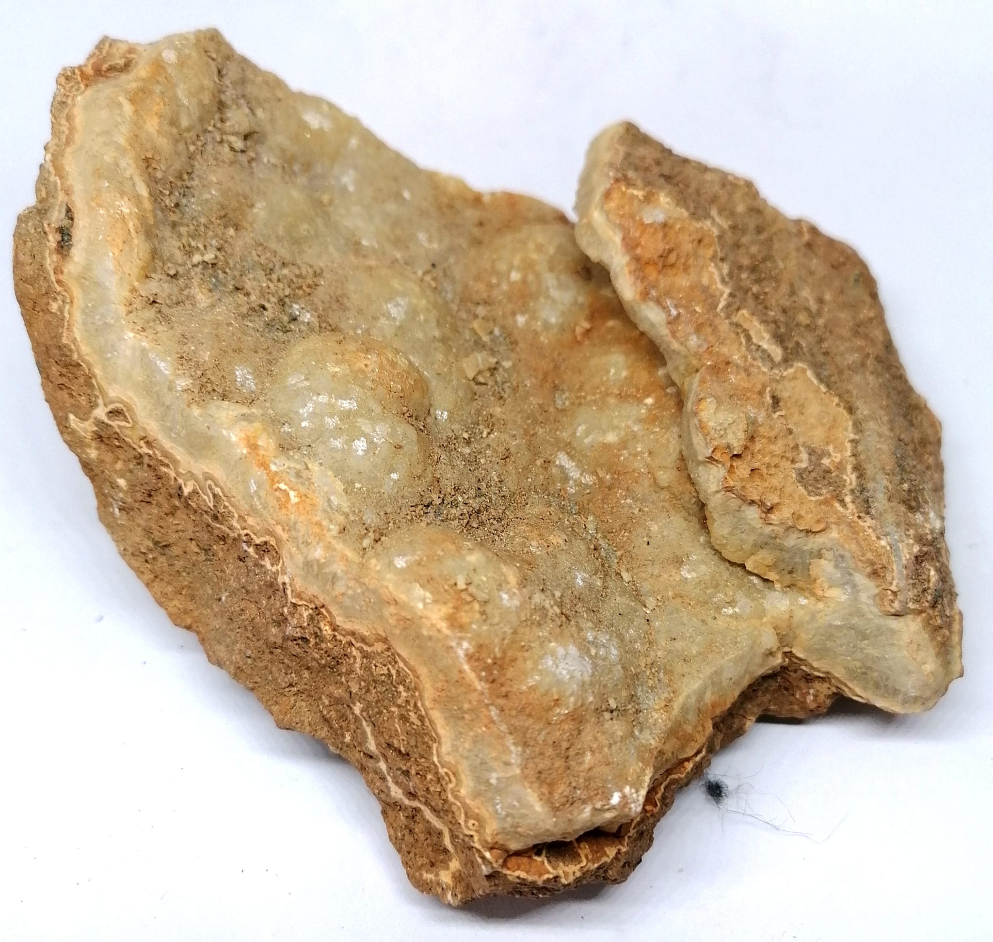 Aragonit - lupínky aragonitu, Nová Rokle