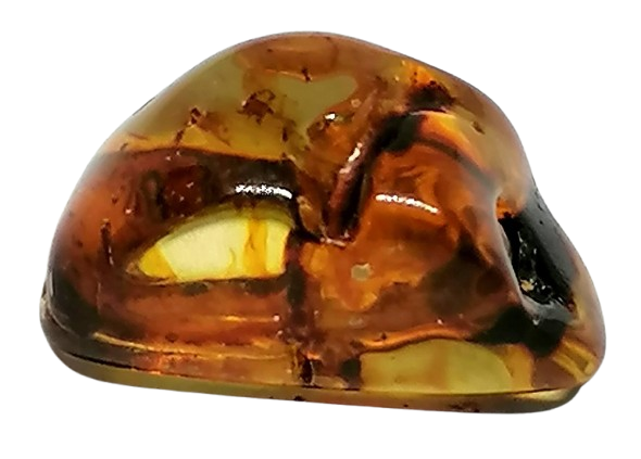 Jantar exkluzivní, 3,54 g