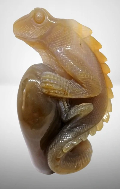 Achátový leguán v AA kvalitě, exkluzivní kus, 390 g