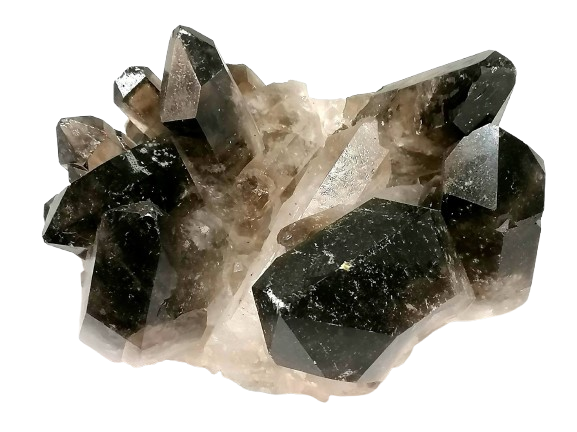 Záhněda drůza velká, AA kvalita 686 g