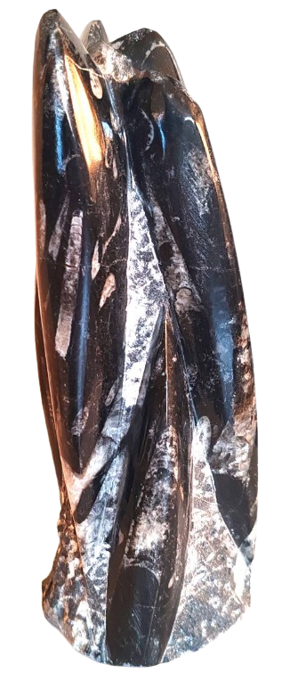 Orthoceras sloup - Maroko 1,34 kg