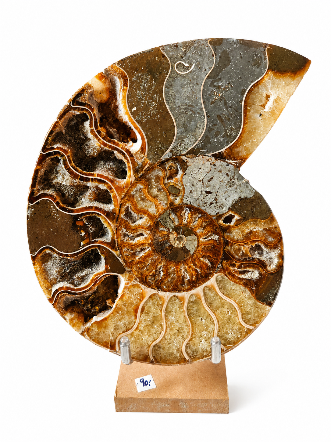 Amonit – velký pár 810 g | 14,5 × 11,5 × 1,8 cm | Madagaskar