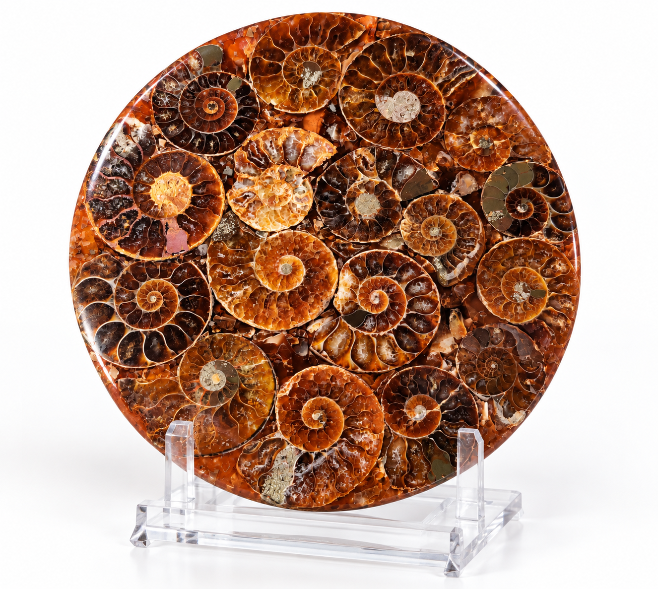Amonitová destička – zkameněliny amonitů, 12 cm, 146 g