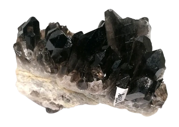 Záhnědová drůza velmi zajímavá 275 g