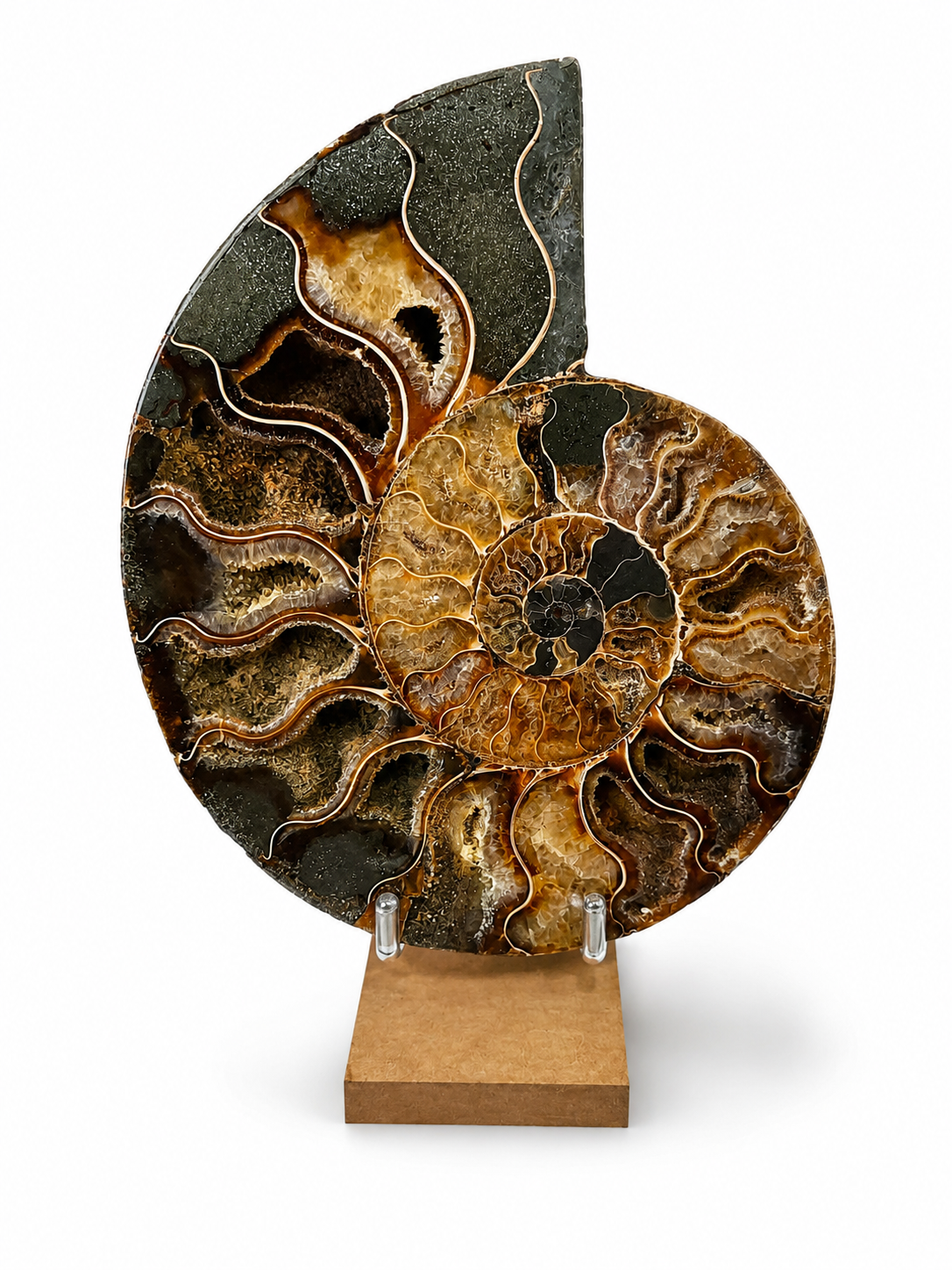 Amonit – velký pár 910 g | 16,5 × 12,5 × 2 cm | Madagaskar