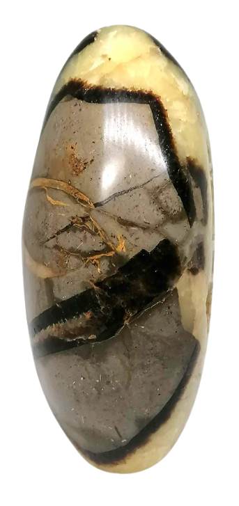 Septárie, dračí kámen, obří vejce 558 g