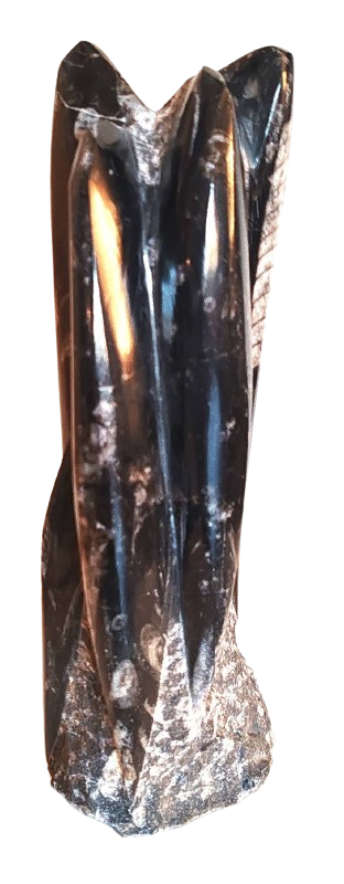 Orthoceras sloup - Maroko 1,34 kg