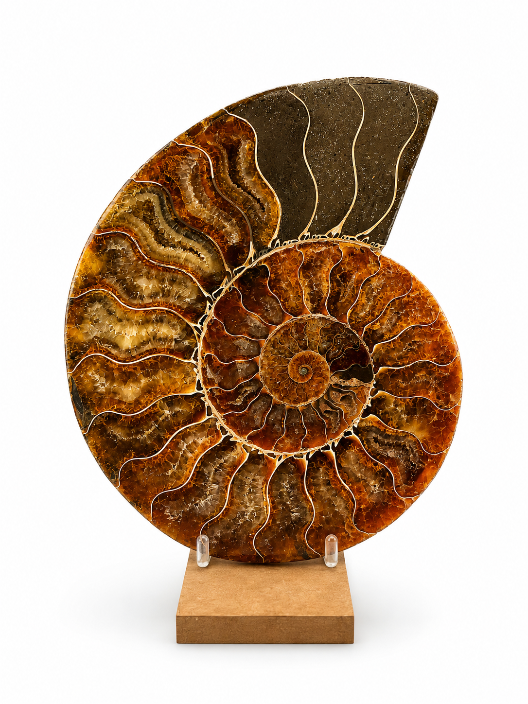 Amonit – velký pár 810 g | 15,5 × 12 × 1,6 cm | Madagaskar