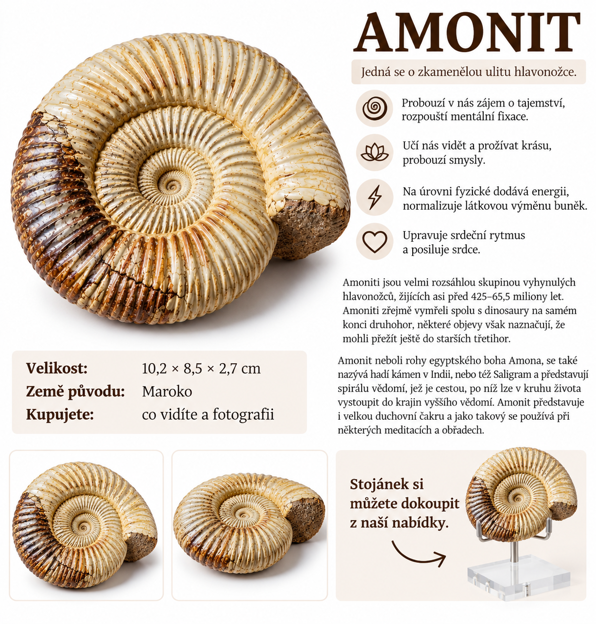Amonit přírodní velký 285 g