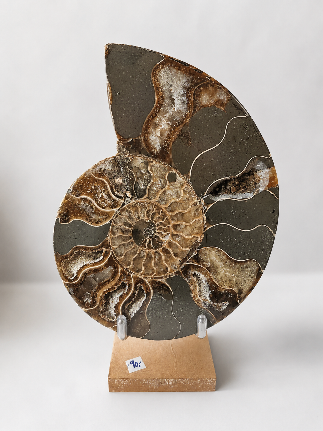 Amonit – velký pár 470 g | 13 × 10,5 × 1,5 cm | Madagaskar