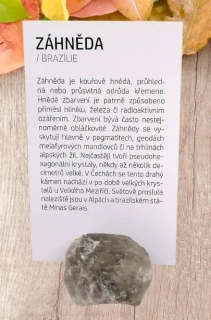 Kartička a minerál ZÁHNĚDA