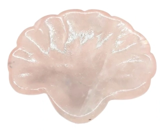 Růženínová miska ve tvaru mušle 147 g