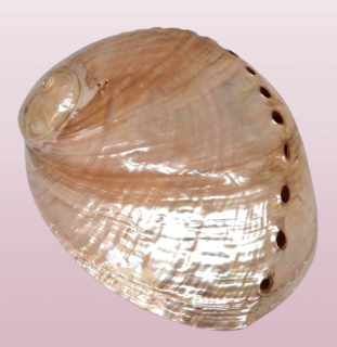 Vykuřovací miska na svazky - růžová Paua abalone