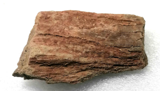 Zkamenělé dřevo-jiskřivec, Polsko, 48 g