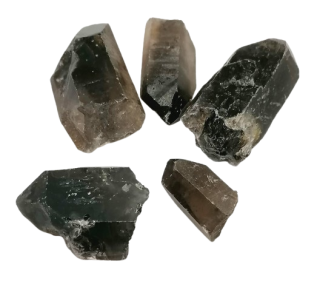 Sada záhněda špice - 84 g