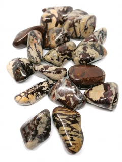 Jaspis zebra tromlovaný Afrika