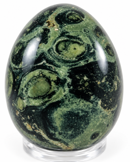Kambaba – vajíčko cca 4,5 × 3,5 cm