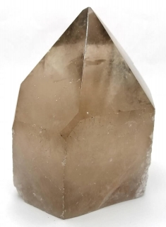 Záhnědová špice obří - 11,5 cm